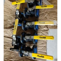 美國博雷F15手動碳鋼法蘭球閥，BRAY碳鋼法蘭球閥