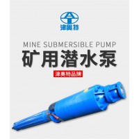 6KV高電壓礦用泵/立式多級(jí)泵/礦山用潛水泵定做