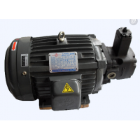 油泵電機M-VPV1-12-55-0.75-10